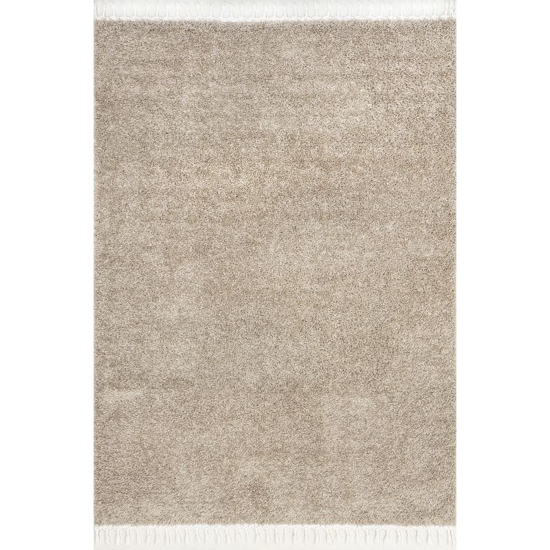 Beige Braided Rectangular Shag Area Rug 4' x 6'