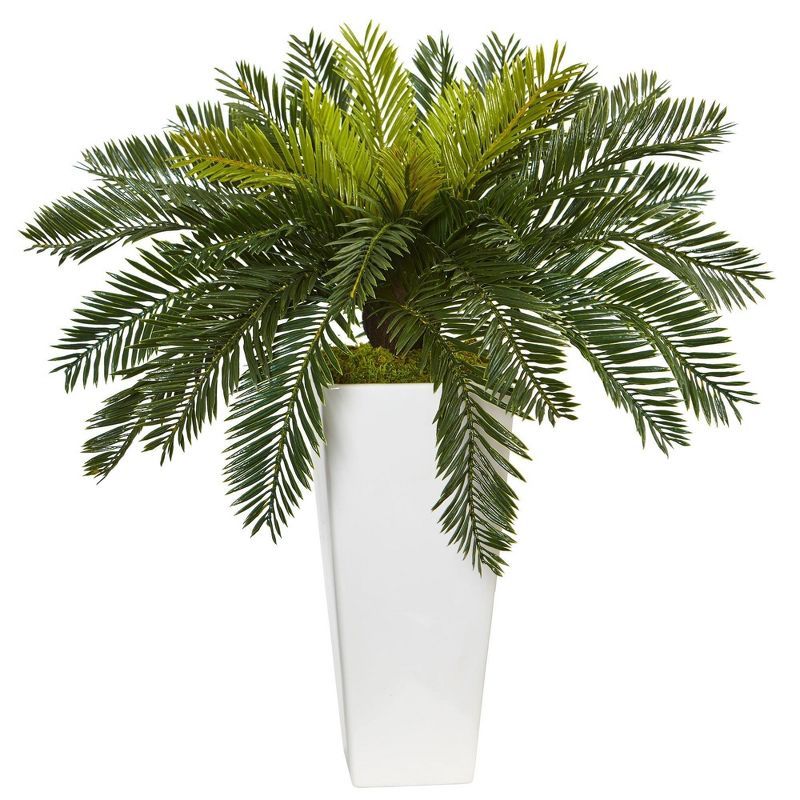 29" Green Cycas in White Ceramic Planter