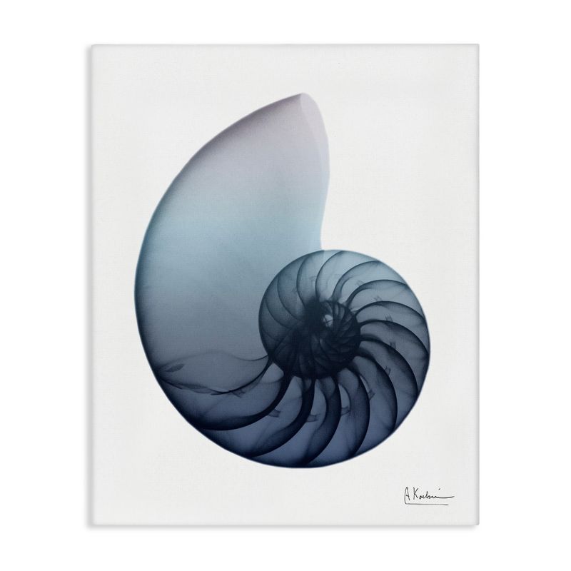 16'' x 20'' Blue Nautilus Shell Abstract Canvas Print