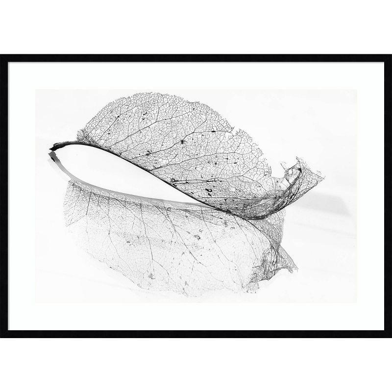 Black and White Botanical Leaf Print in Wood Frame