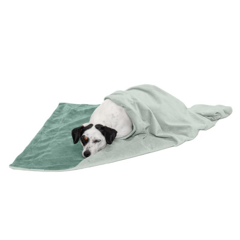 Medium Celadon Green Velvet Waterproof Reversible Pet Blanket