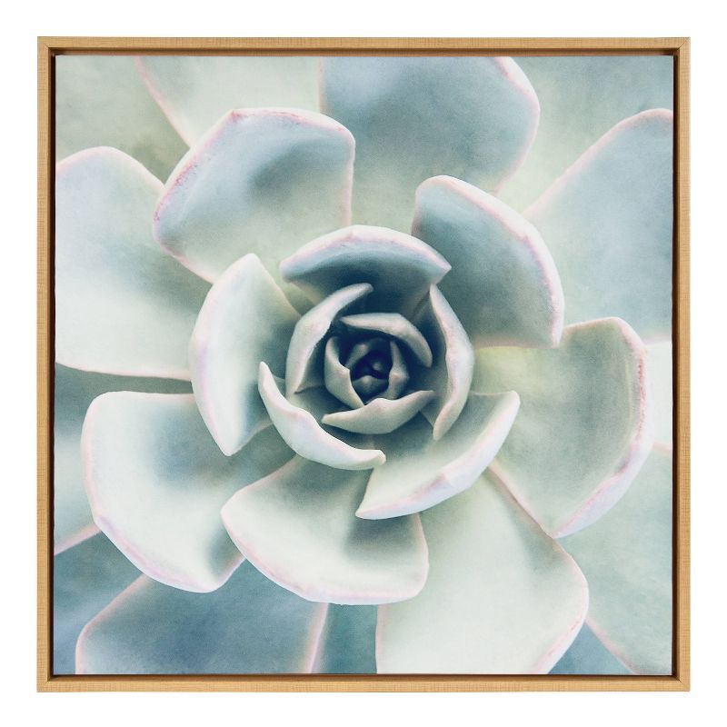 Large Natural Framed Canvas Succulent Print Wall Art