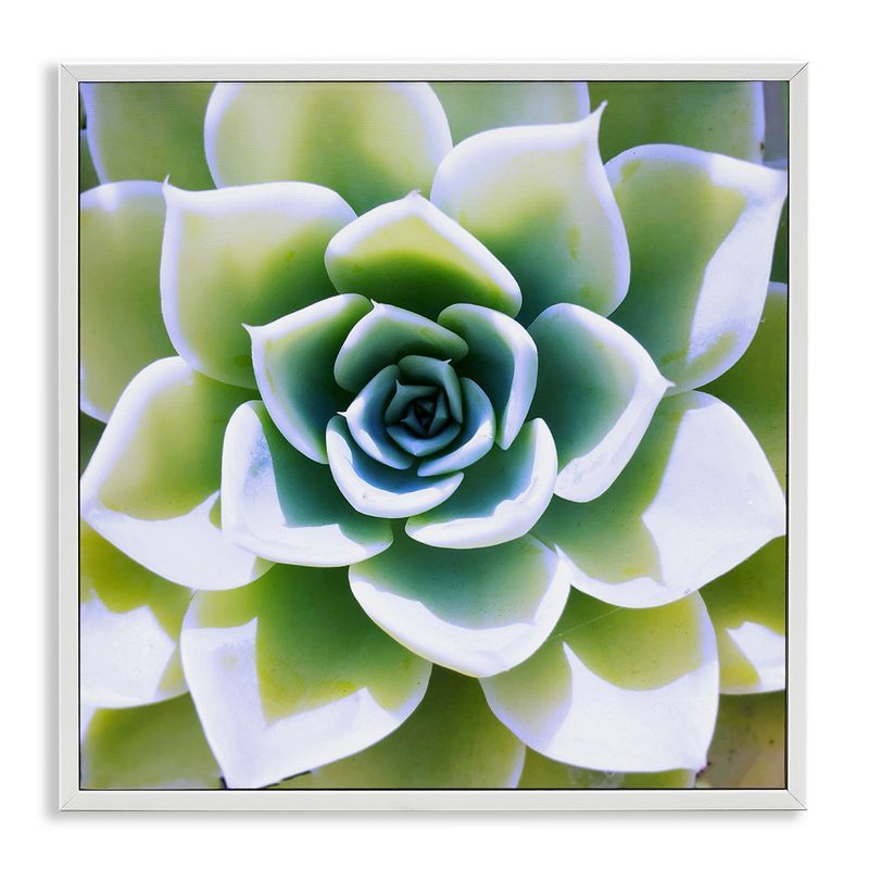 Green Succulent Close Up White Framed Canvas Print, 12" x 12"