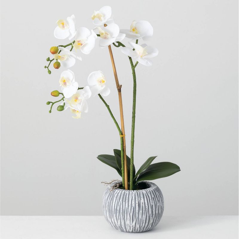 White and Green Artificial Orchid in Textured Pot, 28"