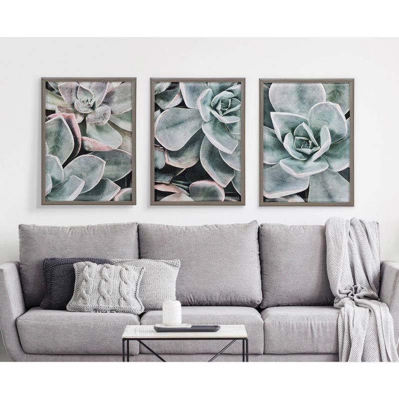 Gray Framed Botanical Succulent Plant Wall Art Set