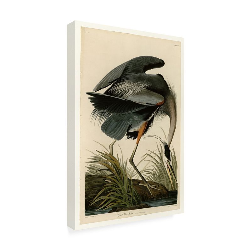 Great Blue Heron Giclee Print on Canvas with Floater Frame