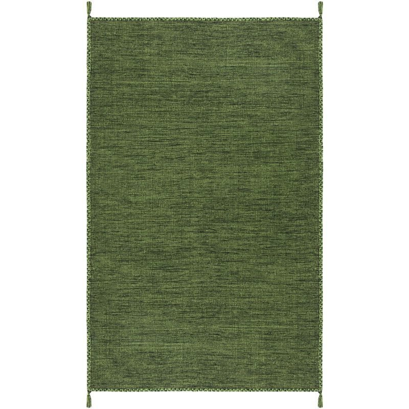 Montauk Green Handwoven Cotton 4' x 6' Area Rug