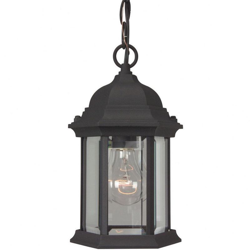 Matte Black Aluminum 1-Light Outdoor Pendant with Clear Glass