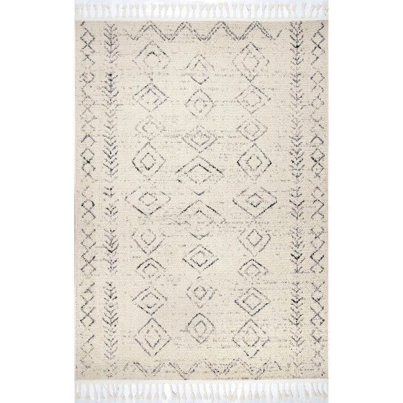 Ivory Braided Rectangular Synthetic Area Rug with Tassels