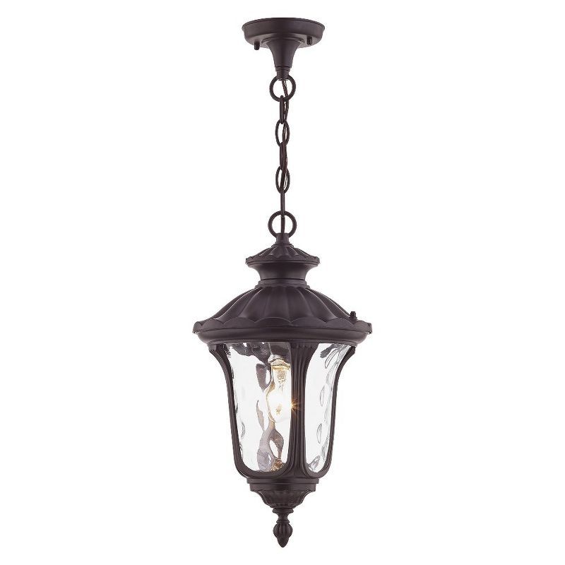 Oxford Bronze 1-Light Outdoor Pendant with Clear Water Glass