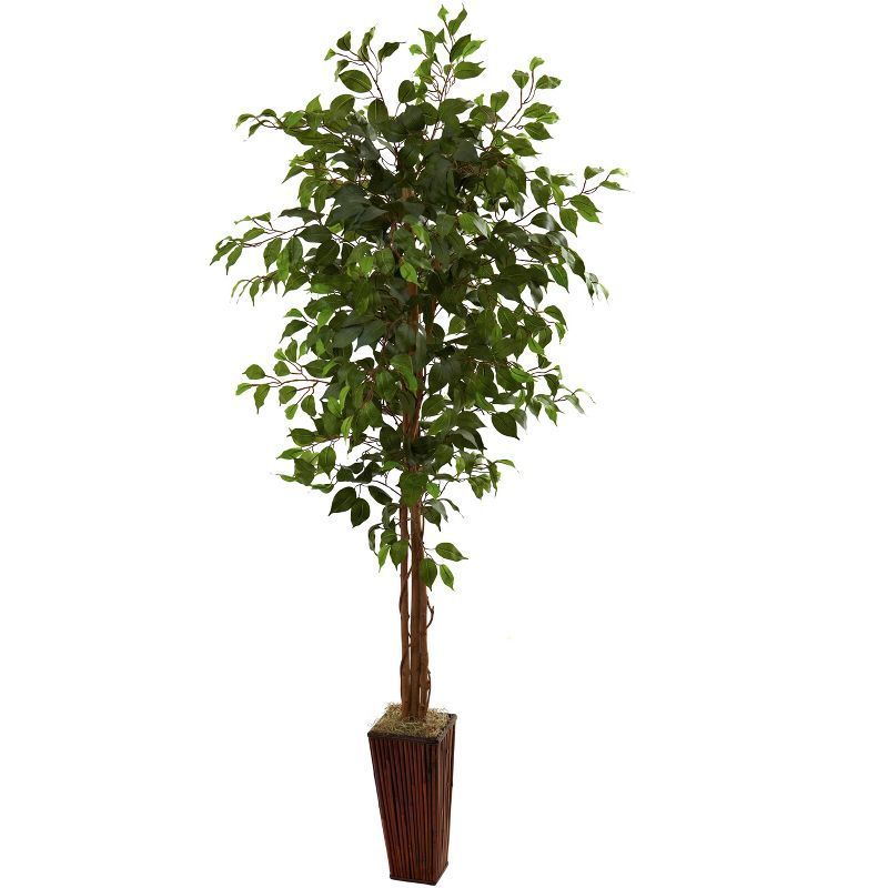 Lush 6' Ficus Floor Plant in Elegant Bamboo Planter