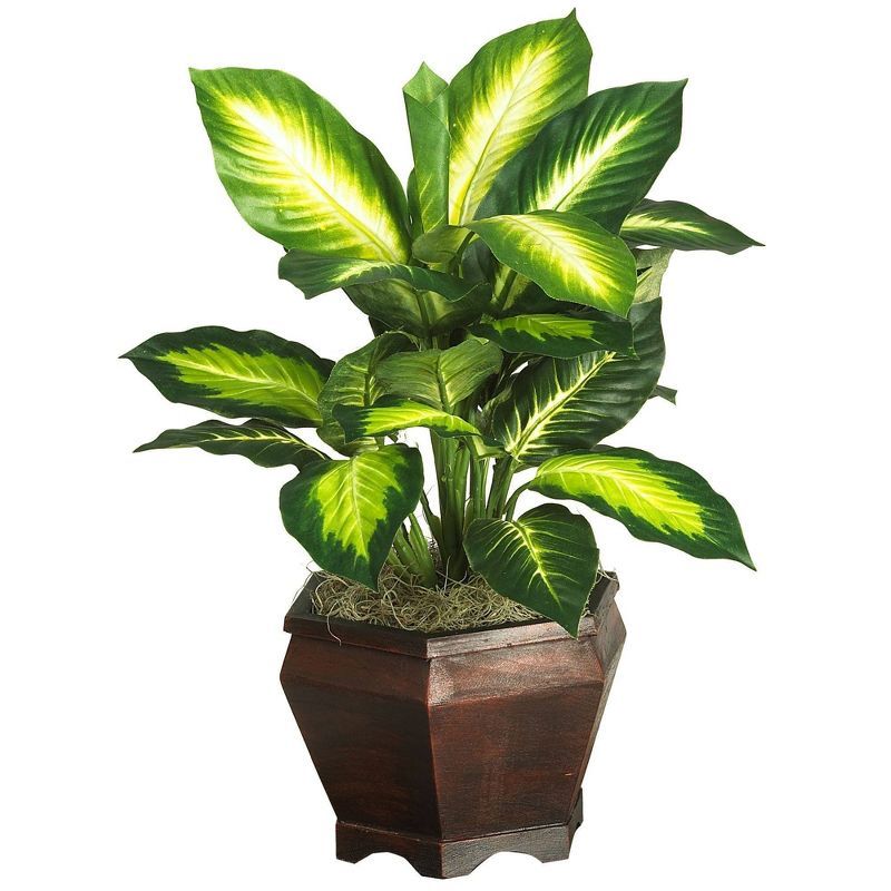 Golden Dieffenbachia Silk Plant with Wooden Vase, 20.5"