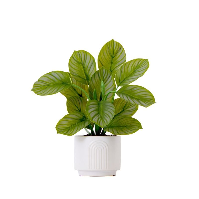 Nearly Natural Green Calathea Potted Plant in White Planter