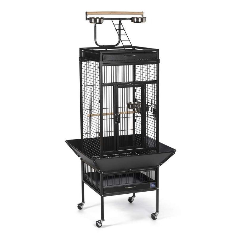 Black Wrought Iron Bird Cage with Play Top and Stand