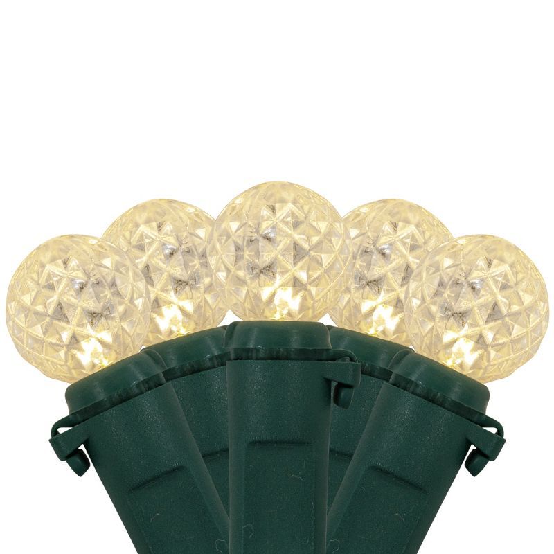 Warm White LED G12 Berry Christmas Lights with Green Wire - 50 Count