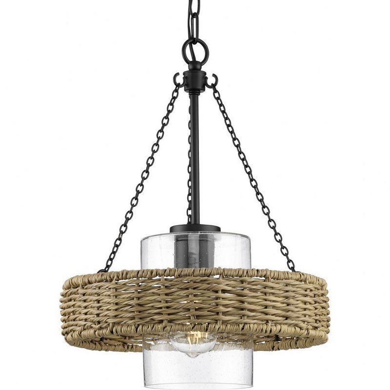 Matte Black Glass Drum Indoor/Outdoor Pendant Light