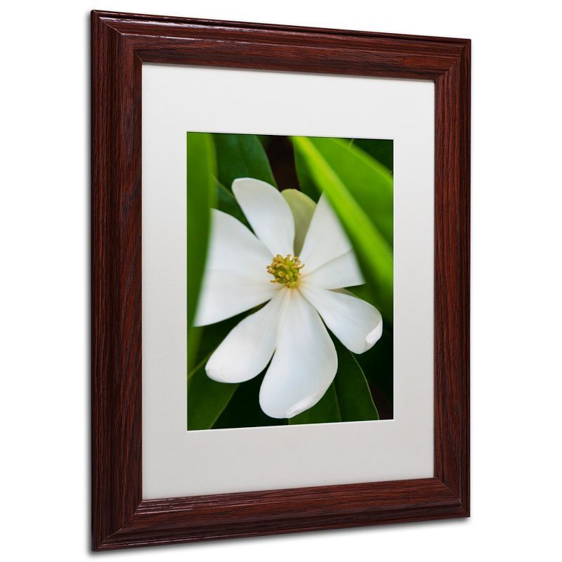 White Magnolia Flower Graphic Art on Canvas with Brown Wood Frame