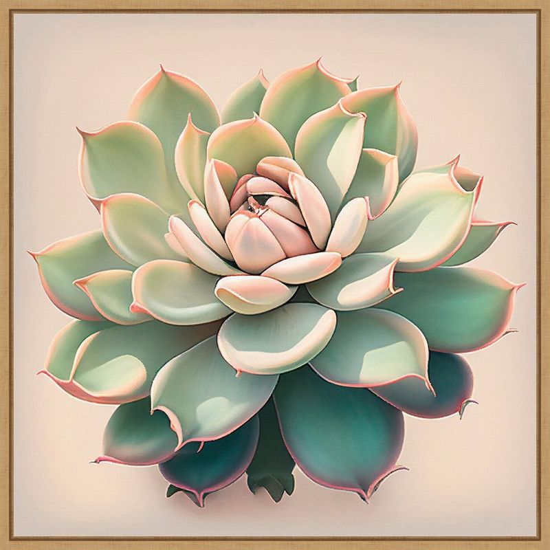 Echeveria Succulent Pastel Canvas Art with Maple Frame