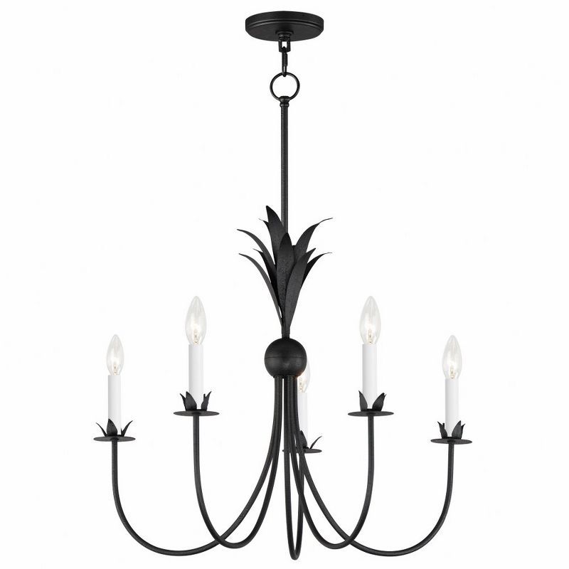 Maxim Lighting Paloma 5 - Light Chandelier in  Anthracite