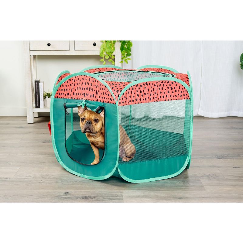 Small Red and Green Plastic Mesh Pet Playpen