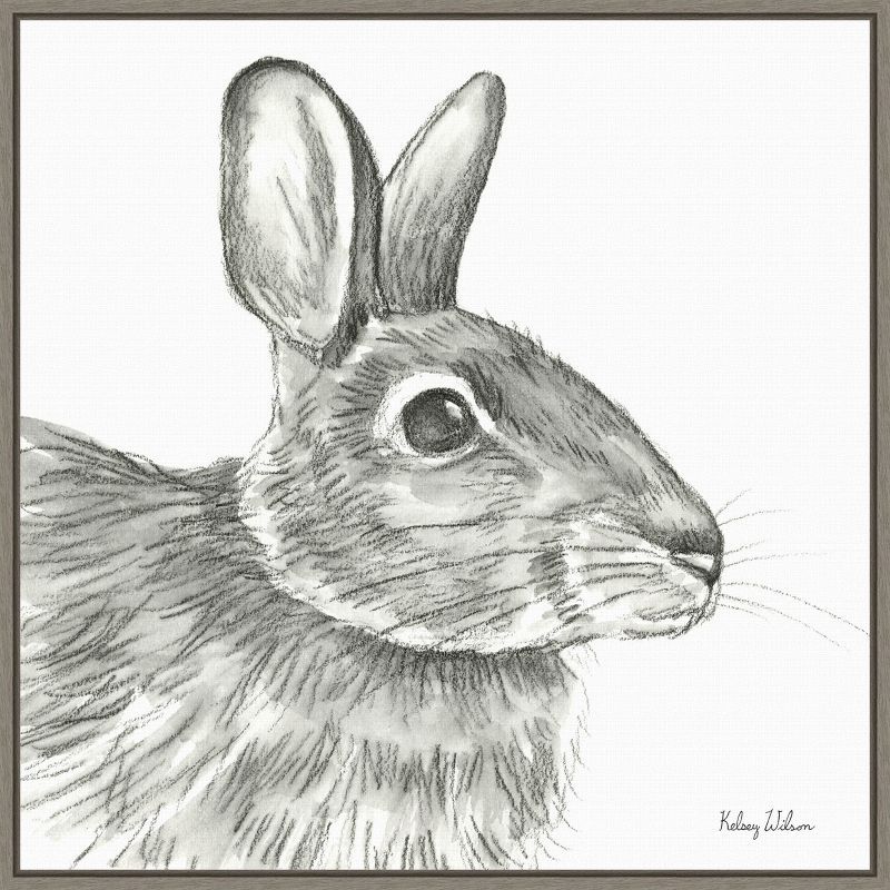 Graphite Rabbit Sketch Framed Canvas Wall Art 22" x 22"