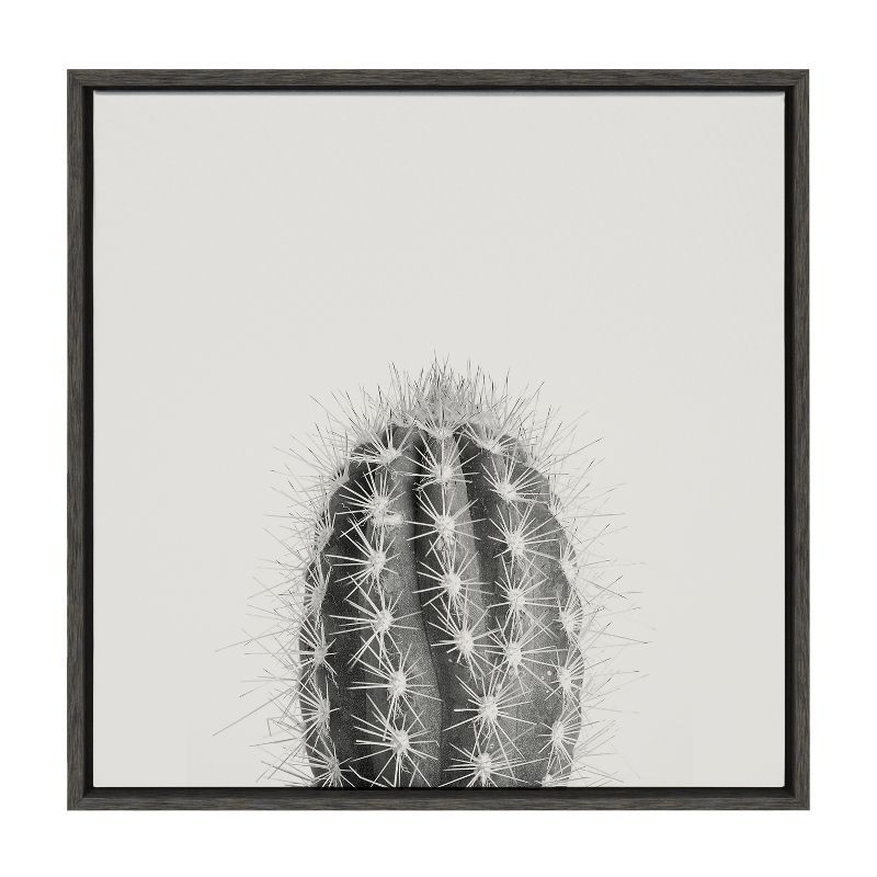 Haze Cactus Succulent Graphic Art on Canvas with Black Frame