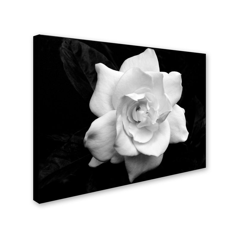 Large Black and White Framed Canvas Floral Art