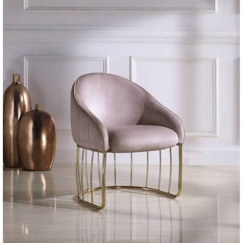 Blush Velvet Curved Accent Chair with Gold Metal Frame