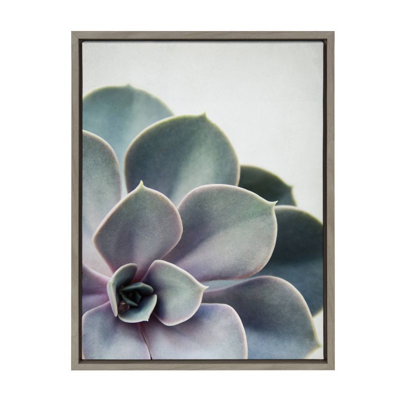 Sylvie Succulent 5 Framed Abstract Canvas Print