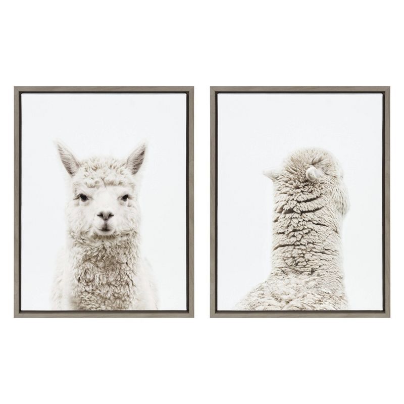 Set of 2 Framed Alpaca Canvas Art Prints