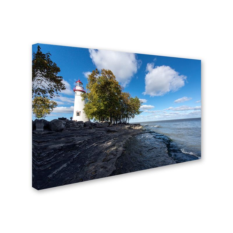 Large Framed Blue and White Canvas Landscape Art