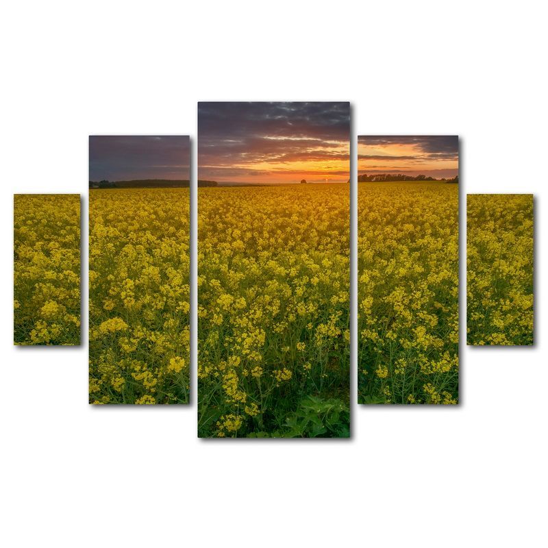 Yellow Sunset Field Multi Panel Canvas Art Set