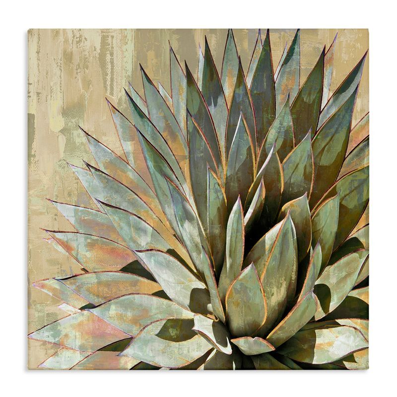 Green Succulent Agave Leaves Canvas Wall Art, 24" x 24"