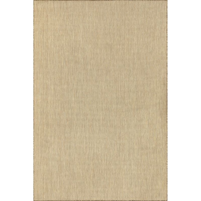 Nakia 4' x 6' Natural Brown Synthetic Indoor/Outdoor Area Rug