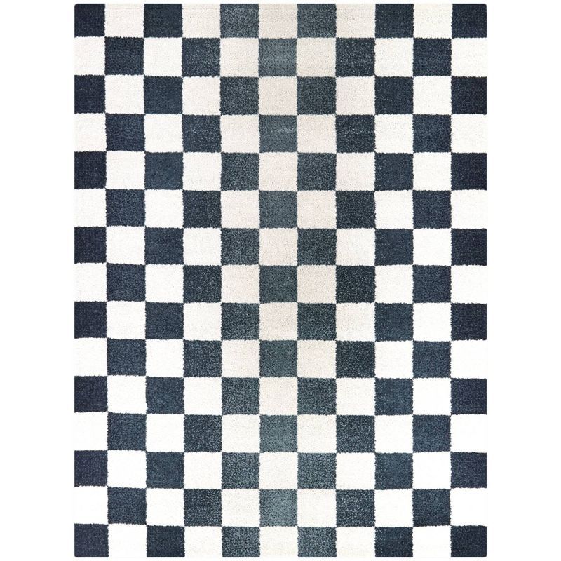 Blue and White Checkered Synthetic Area Rug 5'3" x 7'