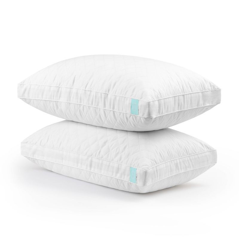 White Cotton Quilted Memory Foam Hypoallergenic Pillow Set