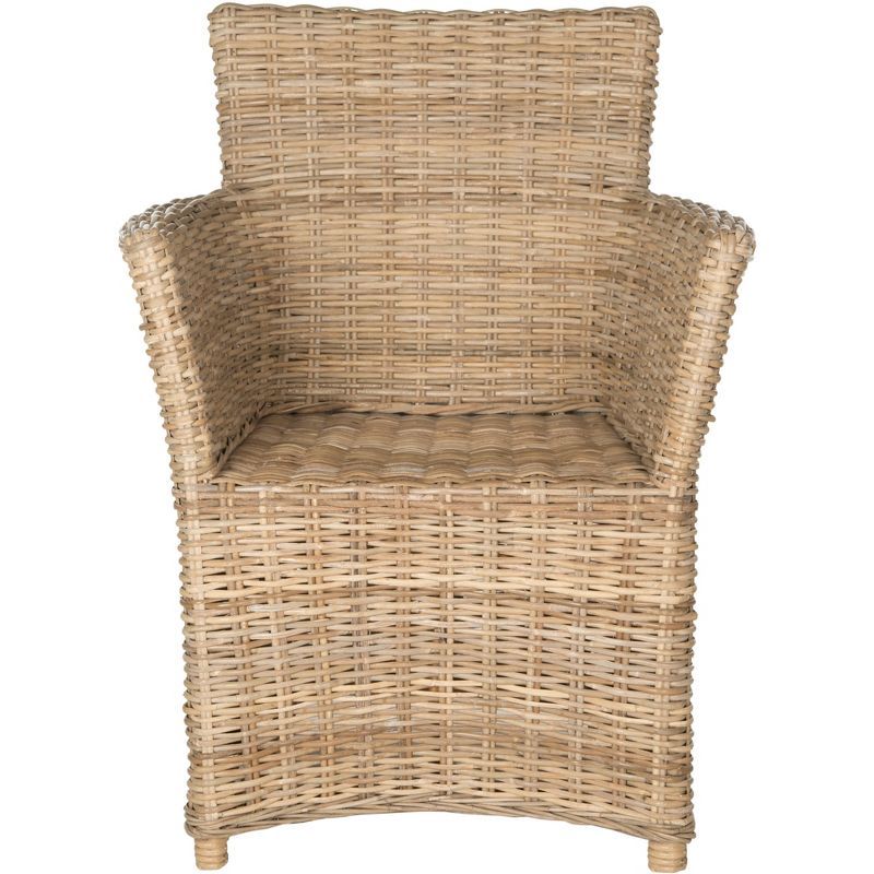 Gray Rattan Transitional Accent Arm Chair