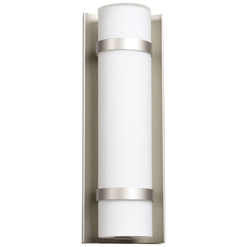 Cilindro Brushed Steel 12" Dimmable LED Outdoor Wall Light