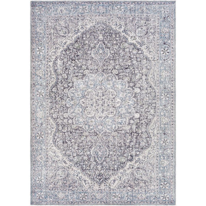 Colin Light Blue Chenille 6'7"x9' Easy-Care Rectangular Rug
