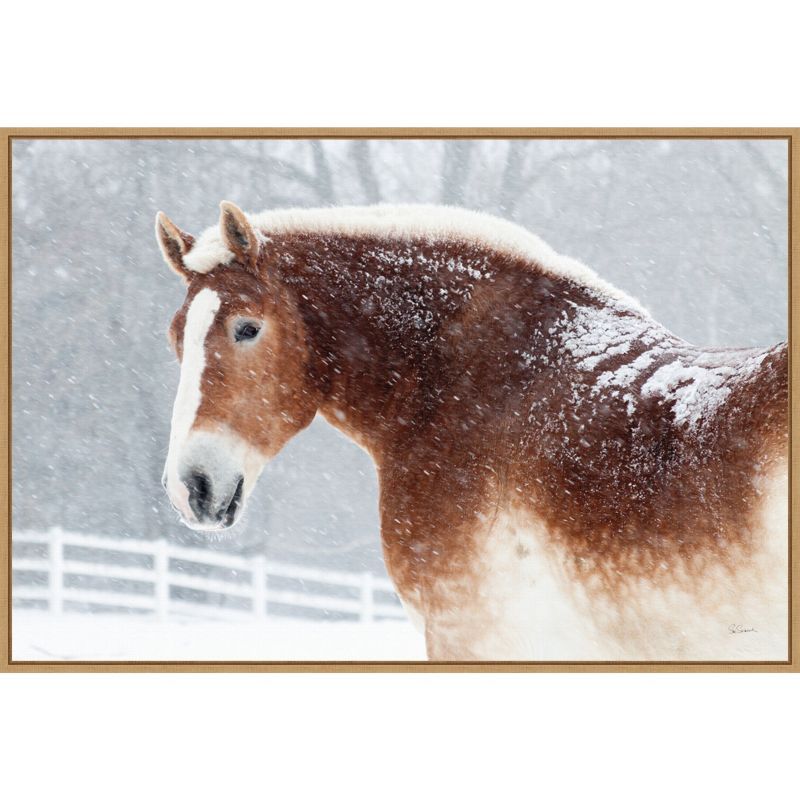 Snowy Draft Horse Framed Canvas Wall Art