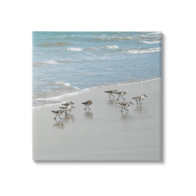 Sandpipers on Sandy Beach Coastal Canvas Print, 17 x 17