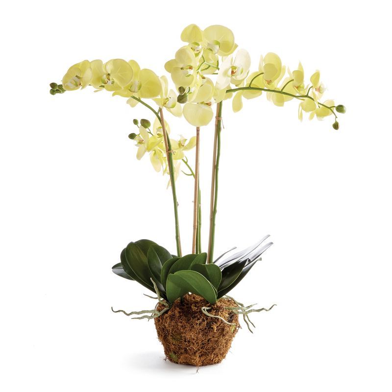 Handcrafted 30" Yellow Orchid in Decorative Pot