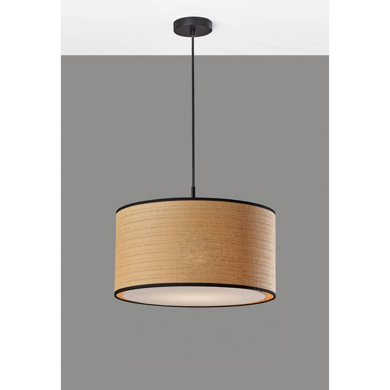 Black Brass Drum Pendant Light with LED and Incandescent Options