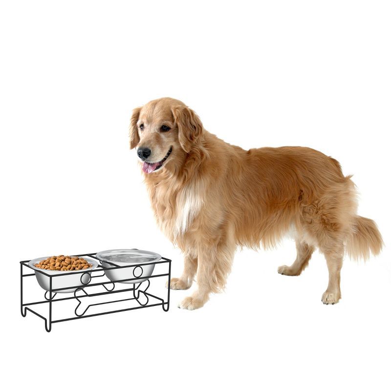 Black and Silver Elevated Double Dog Bowls with Stand