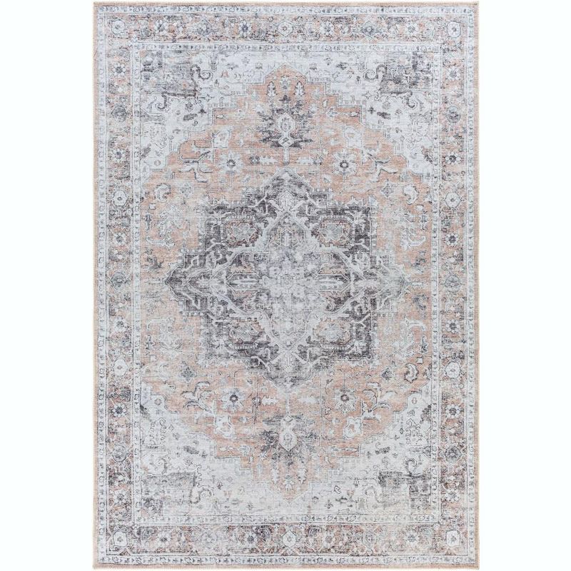 West Okoboji Gray and Beige Chenille-Polyester Washable Area Rug, 2' x 2'11"
