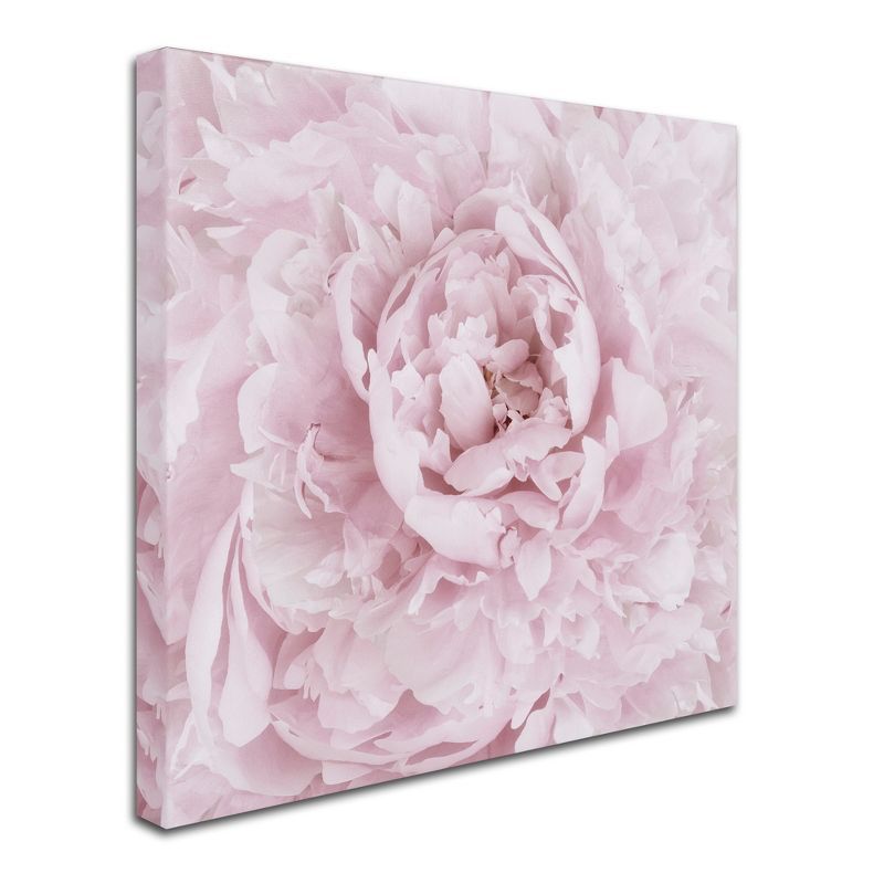 Pink Peony Flower Framed Canvas Art 35'' x 35''