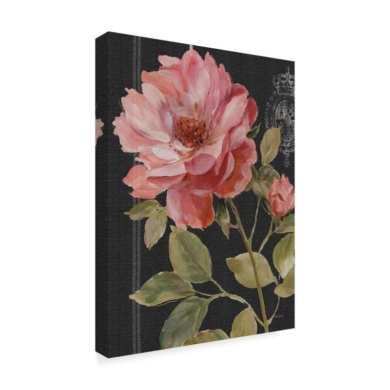 Lisa Audit Harmonious Rose Black Canvas Art 24x32