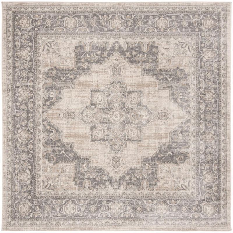 Brentwood BNT865 Power Loomed Area Rug  - Safavieh