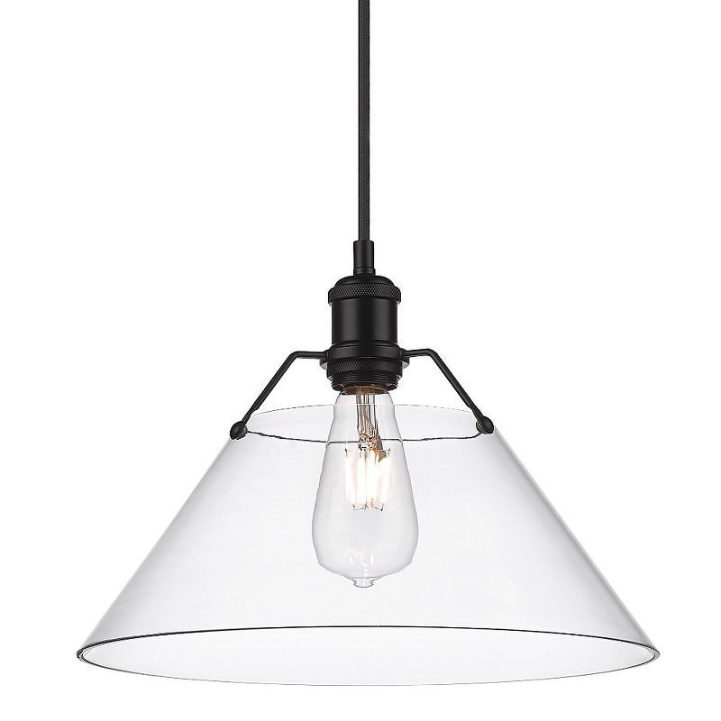 Orwell 14" Matte Black and Clear Glass Industrial Pendant Light