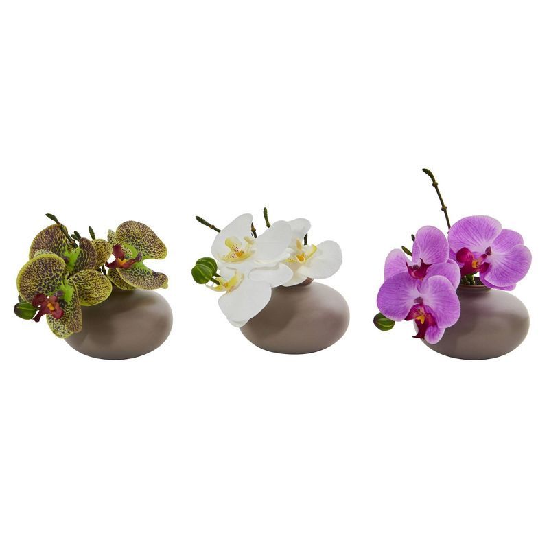 Set of Three 7" Multicolor Potted Orchid Arrangements